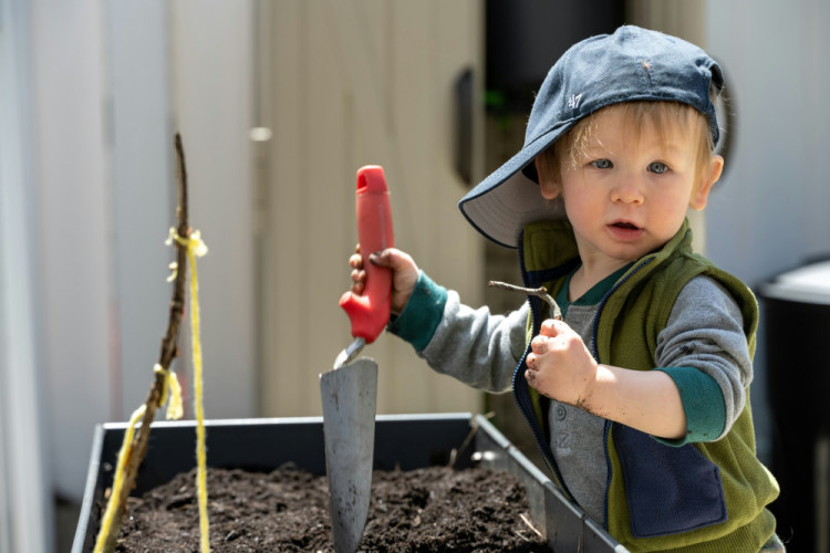 Children in Shepton Mallet can join a free gardening and composting workshop on Sunday, 1 February 2026, at Dobbies garden centre's Little Seedlings Club.