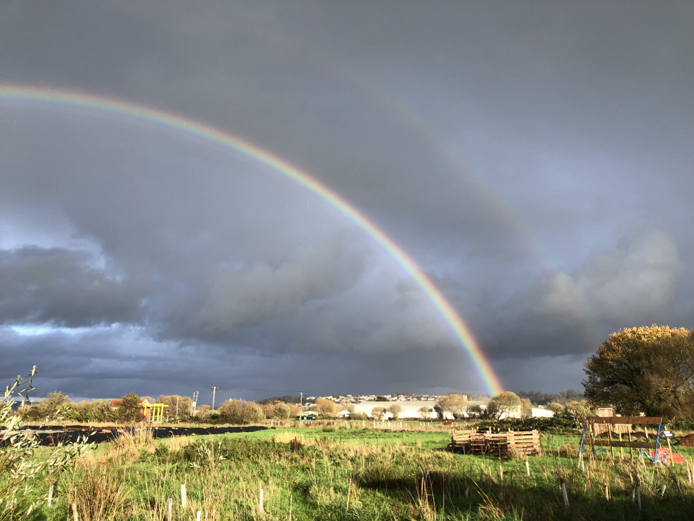 Glastonbury Town Council withdrew its bid to protect Bridie's Farm. (Photo: Bridies Farm) 