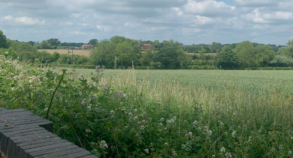 The houses would be built on farmland at Hampton Magna (image via planning application)