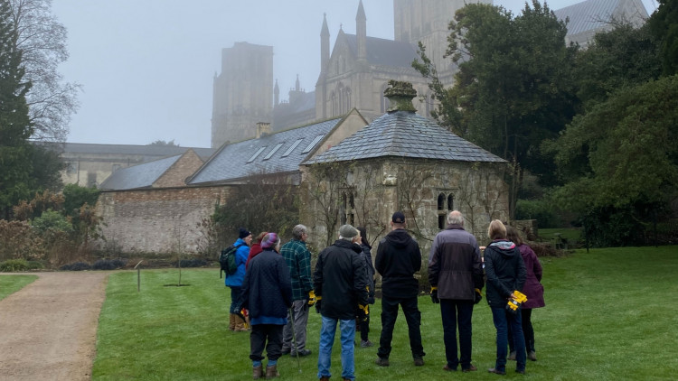 Winter Gardening and Snowdrops Walk and Talk
