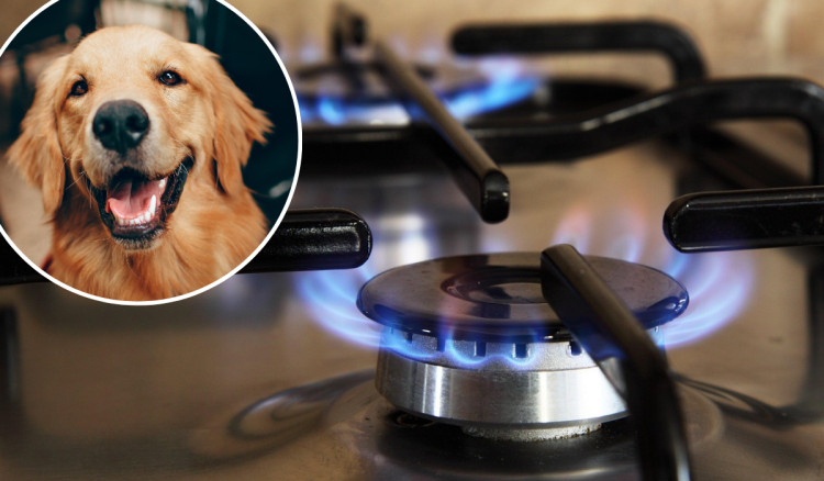 Cheshire Fire and Rescue Service has issued a warning to homeowners following a kitchen fire in Congleton (Credit: Pixabay/Canva)