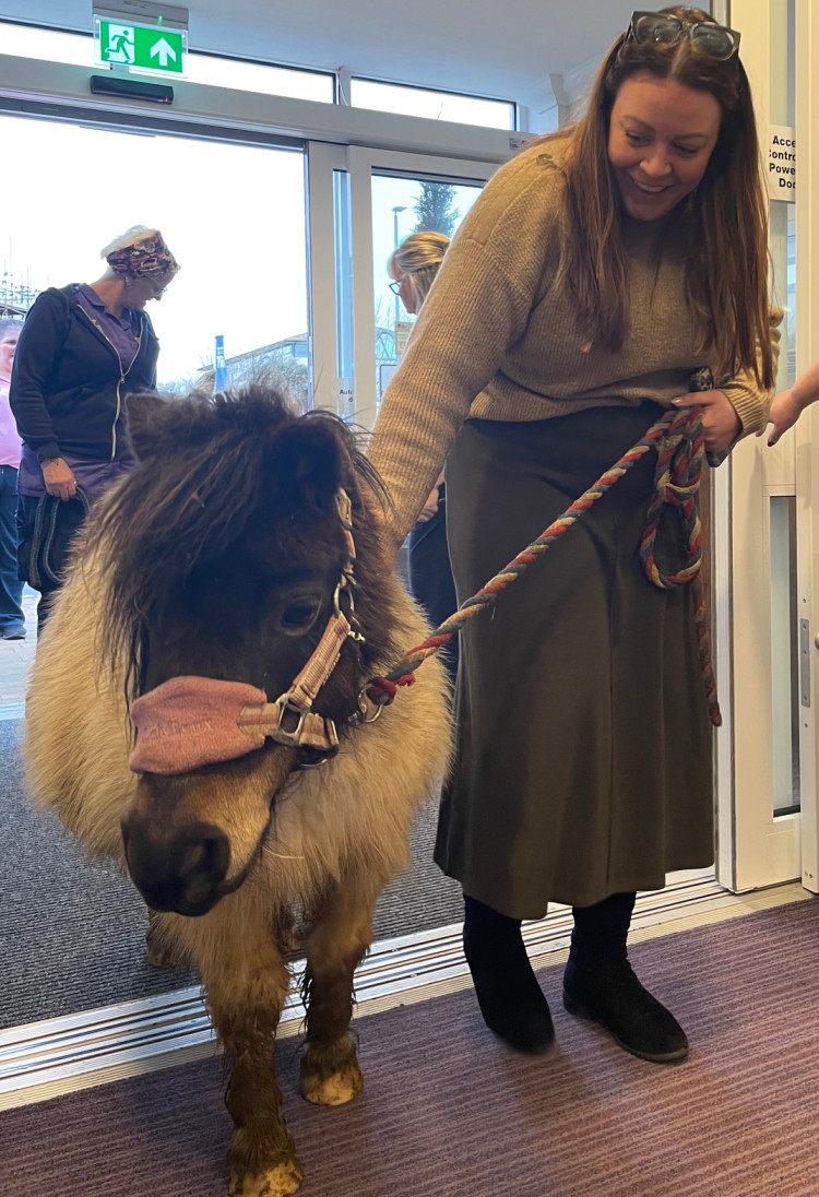 Crandon Springs Care Home Manager, Meg Cleal, escorting the Shetland Pony into the care to meet residents. 
