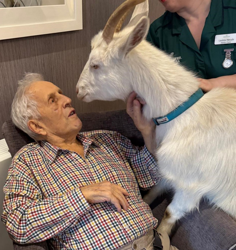 A curious goat took a shine to resident and former local farmer, Neville, during the animal therapy visit to Crandon Springs Care Home.