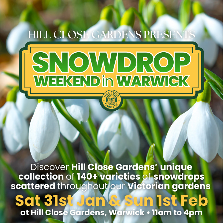 Snowdrop Weekend in Warwick