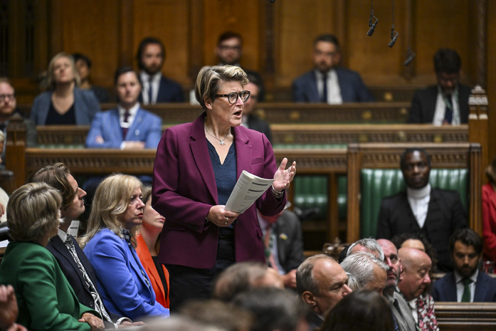 Sarah Dyke MP criticises UK government for harming Somerset's rural economy. 