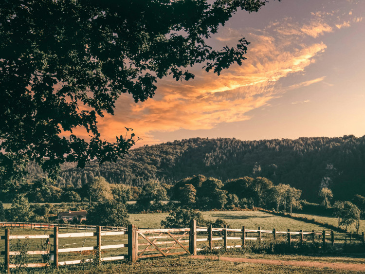 CPRE Somerset invites nominations for the "Love Your Countryside Awards," marking 100 years of rural protection. 