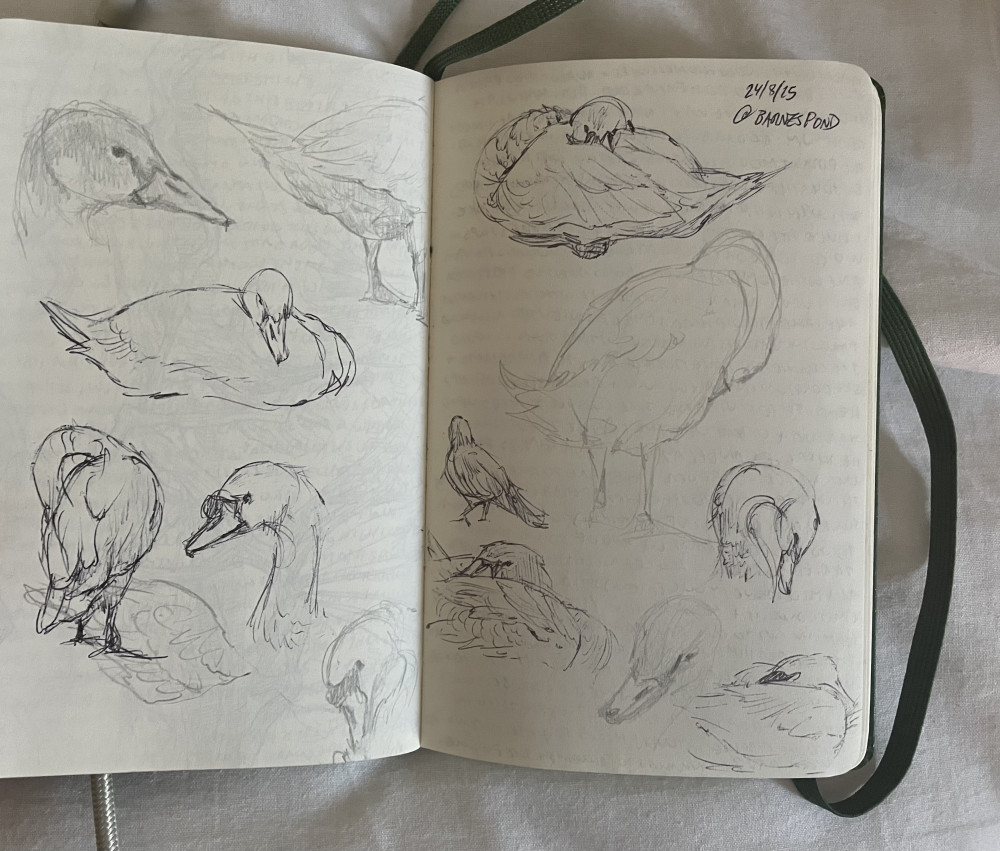 Nature Journaling Walk + Workshop