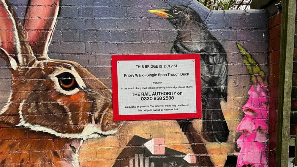 The signs were incorrectly installed over the murals (image via Priory Pools Community Centre)