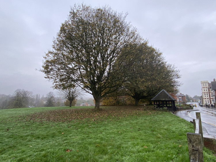 The hedge would run from Holmes Avenue to Finham Brook (image by Nub News)