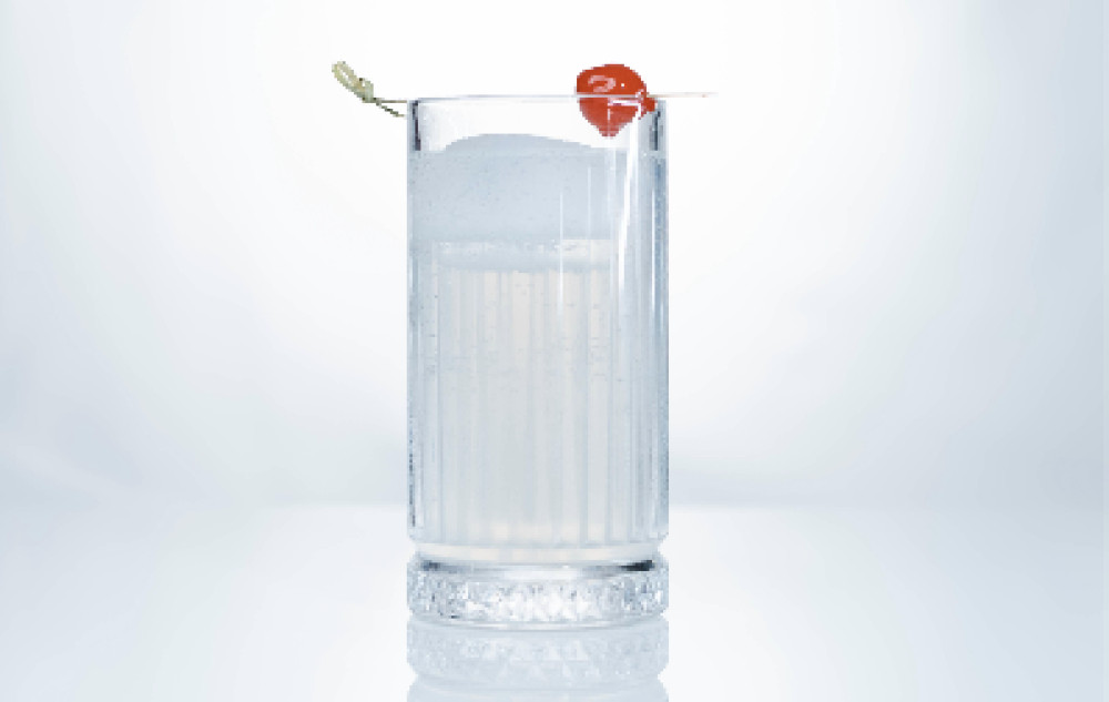 A cocktail recipe from the Warwickshire Gin Company: Peeping Tom Collins cocktail  (image supplied)
