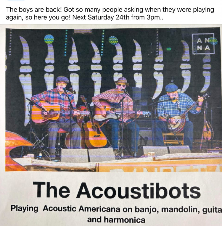 Acoustibots