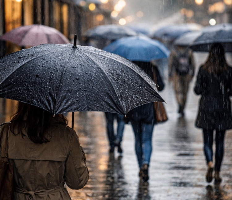 “Rogue traders often take advantage of people at stressful moments, when quick decisions can feel necessary