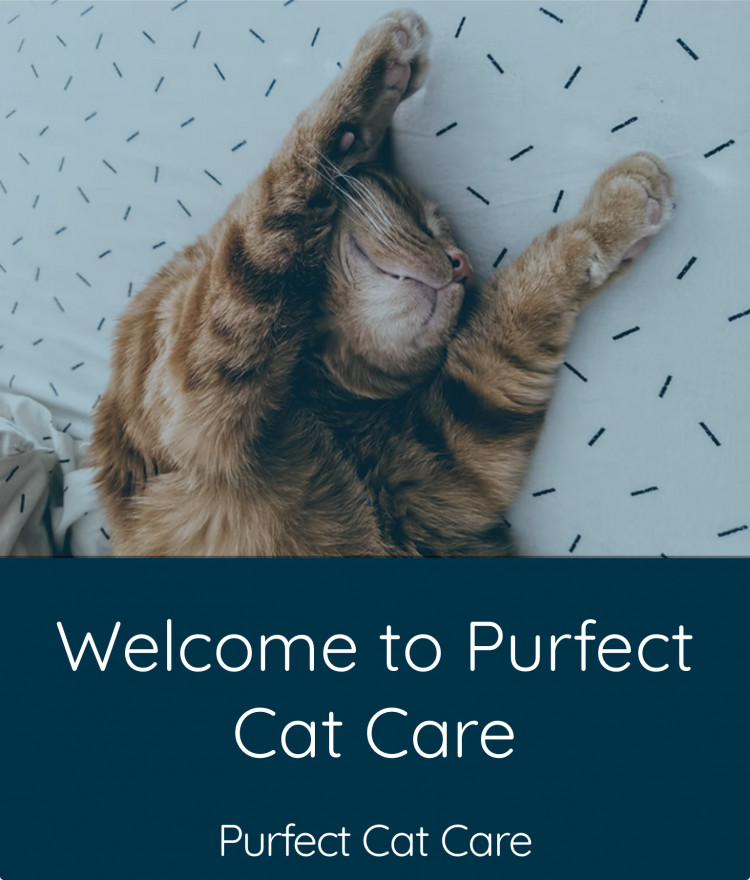 Purfect Cat Care