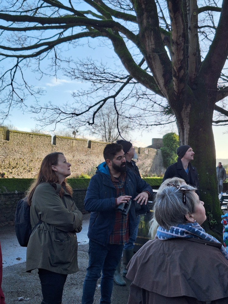 Nick Patel of Wilderskies 