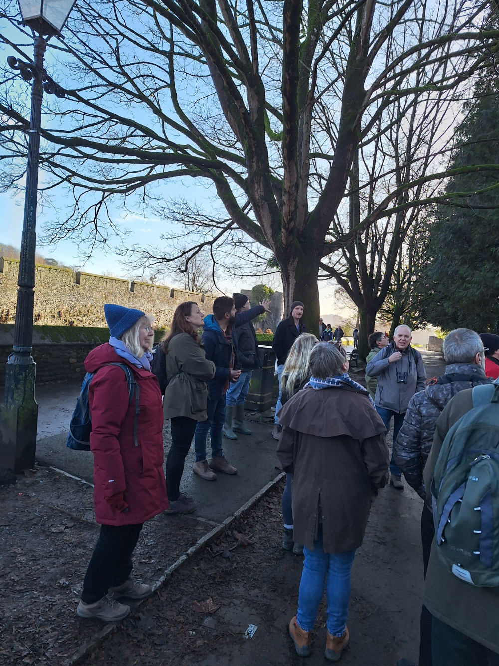 Green Party Guided Nature Walk in Wells