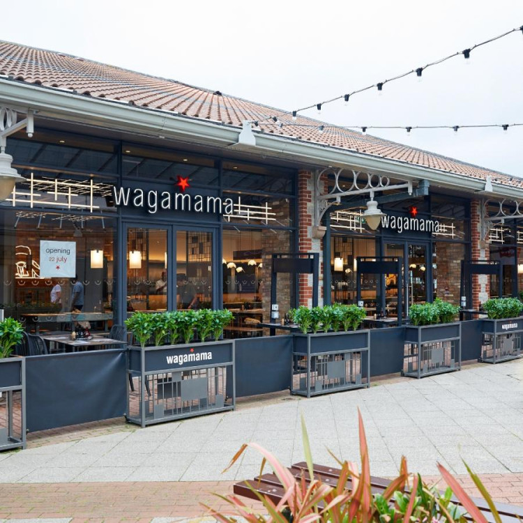 This week's job market offers roles in catering, teaching, logistics, and more across Somerset.