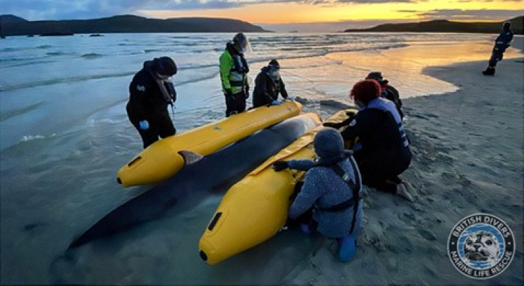 Kenilworth u3a Open Meeting