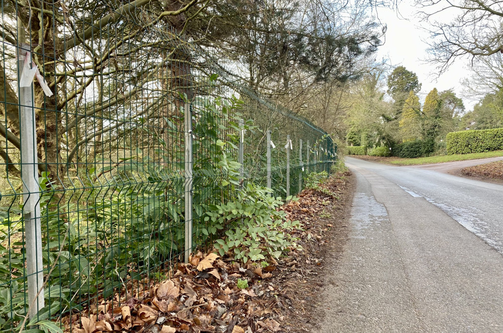 The fence along Crewe Lane (image by Nub News)