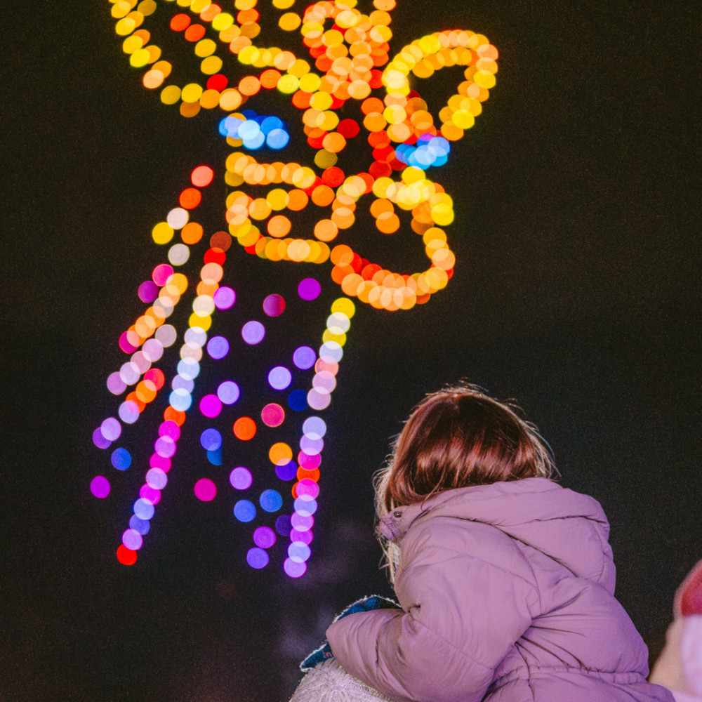 Space Safari Drone Light Show