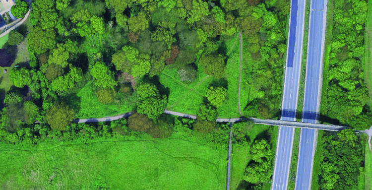The area in Woodsde where thieves dumped a moped and ran off after a chase from Lakeside. They were later apprehended near Treetops School.