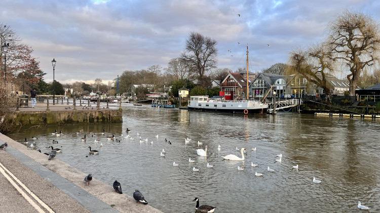 Enjoy happy hour deals at Namaste Village Twickenham, a quiz night at the Landmark and more this weekend in Twickenham (credit: Nub News).