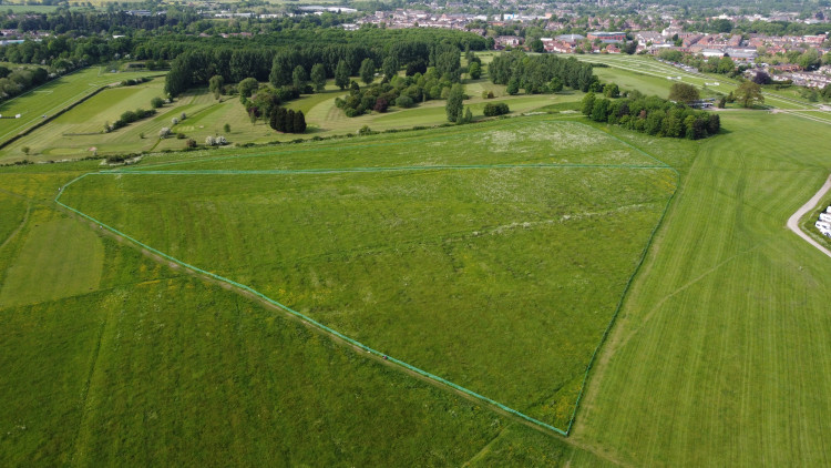 WDC is set to continue its trial of measures to aid the recovery of endangered bird populations in Warwick (image supplied) 