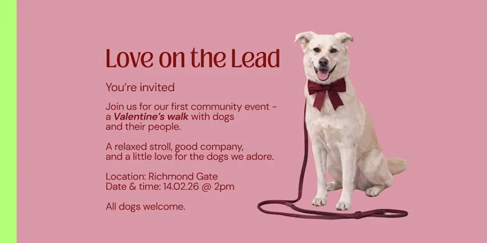 Love on the Lead
