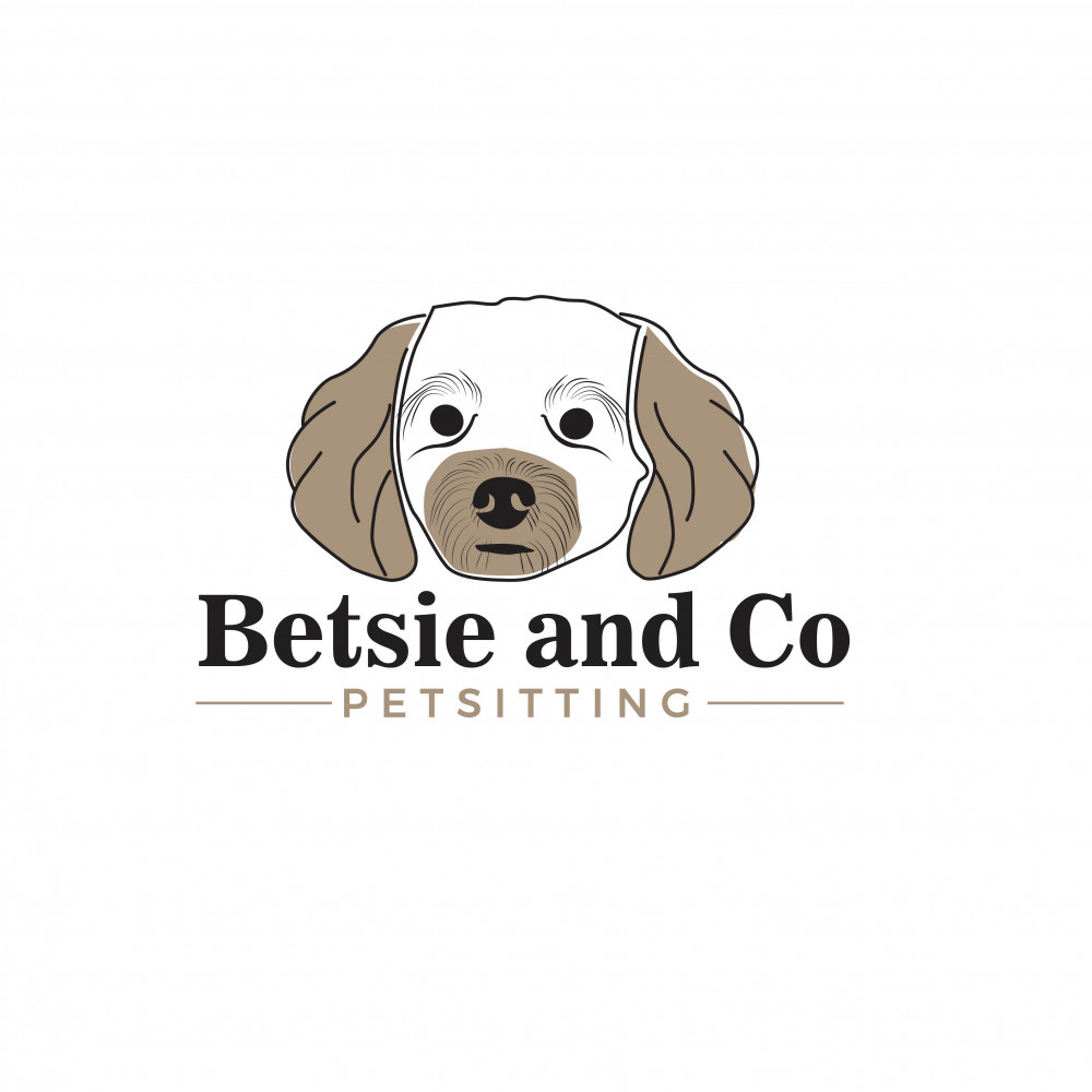 Betsie and co Petsitting Ltd