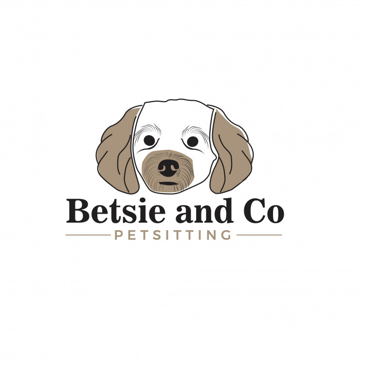 Betsie and co Petsitting Ltd