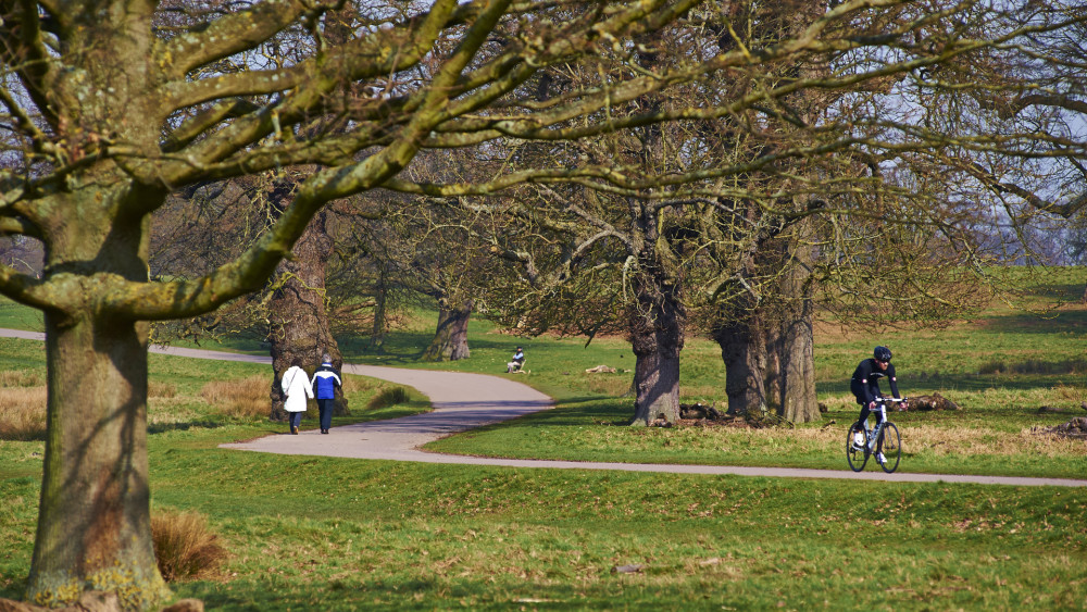 Kush Gor and two fellow cyclists assisted a collapsed walker in Richmond Park (credit: The Royal Parks).
