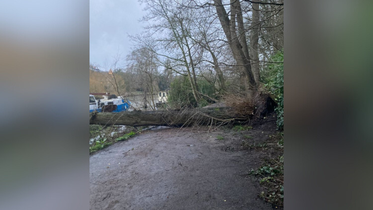 A fallen tree that blocked the riverside towpath between Cambridge Park and Denton Road has now been removed (credit: Gary Beecroft).