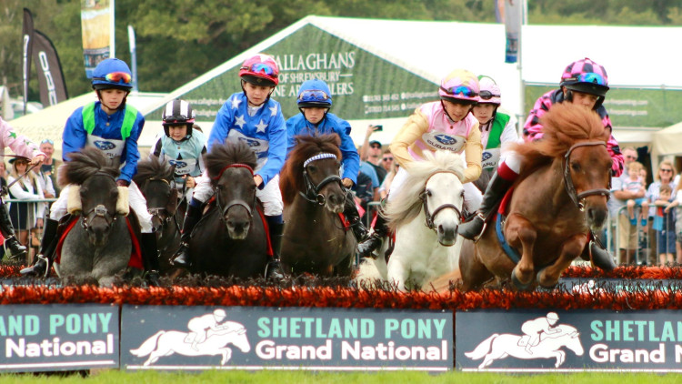 The Shetland Pony Grand National returns to the Royal Bath & West Showground in 2026 (Photo: Shetland Pony Grand National) 