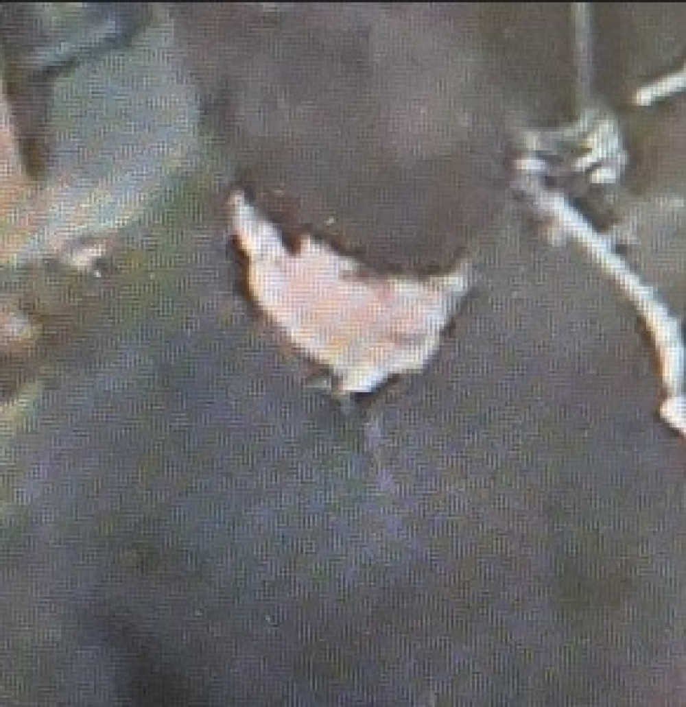 The incident occurred on Thursday 1 January at around 1am on Bancroft.