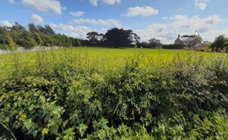 Cheshire East agreed it is ‘minded to approve’ plans for two homes on land to the east of Maylands at Stapeley (Photo: CEC Planning).