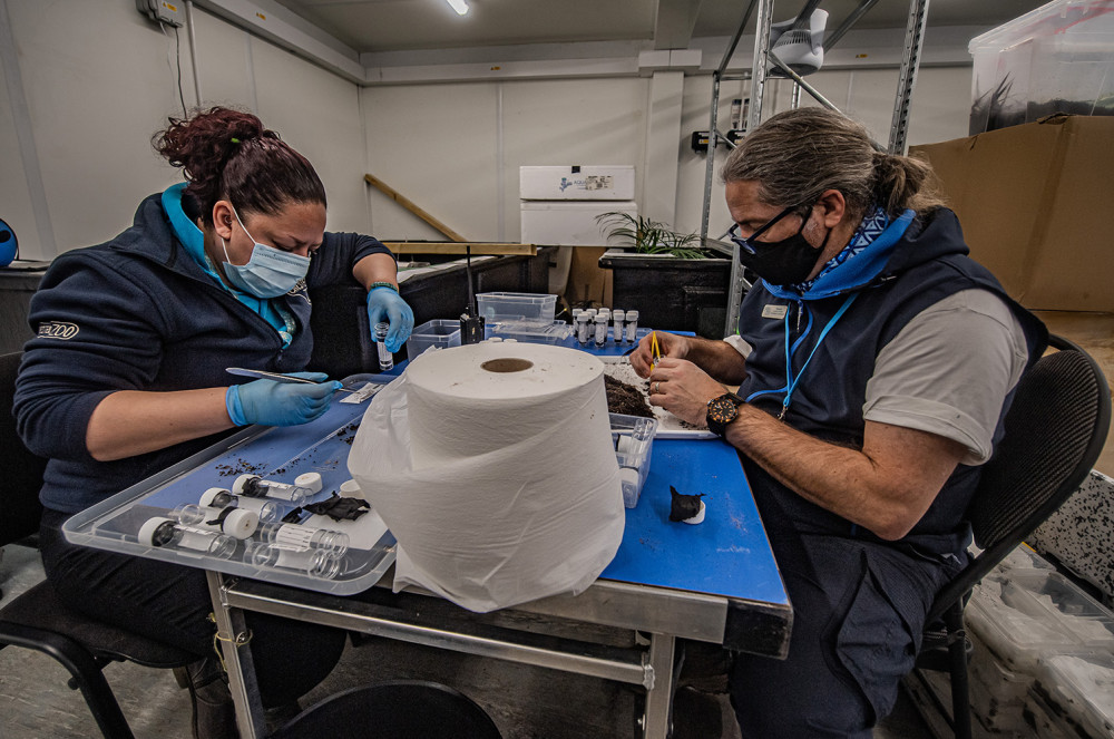 An expert group of scientists and keepers at Chester Zoo were entrusted with several of the snails (Image via: Chester Zoo)