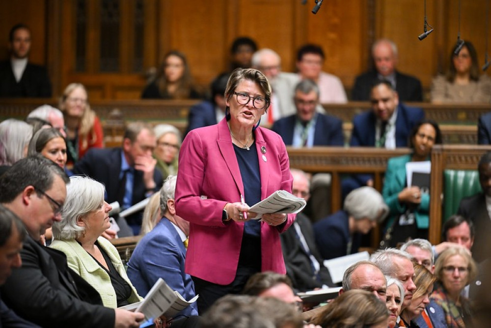 Sarah Dyke speaking in Parliament (Supplied) 