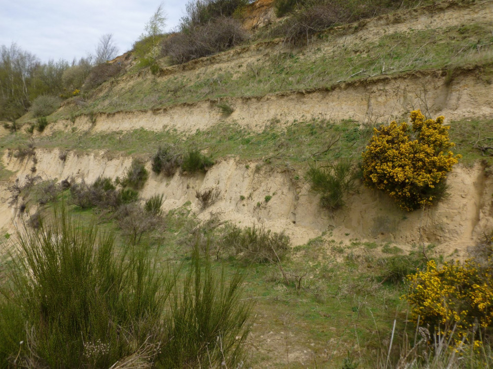 Buckingham Hill Pit which will be destroyed is quarry expansion goes ahead.