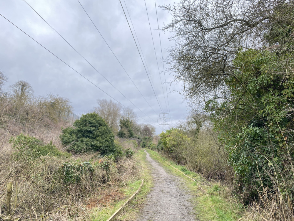 The nature area at Eastern Gateway Enterprise Park