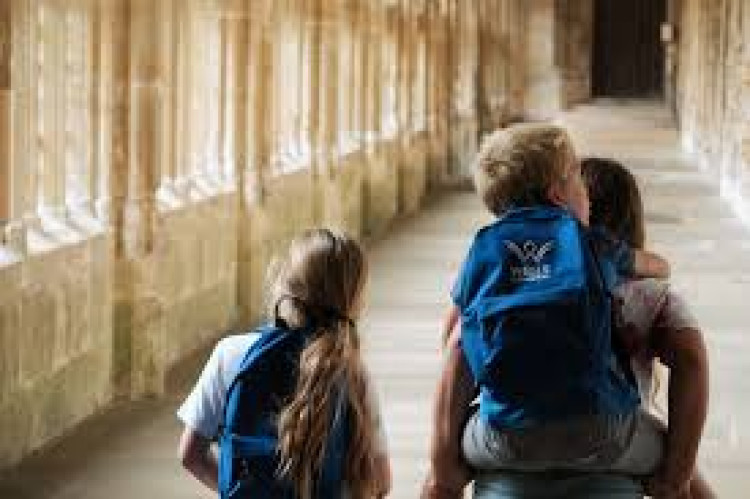 Wells' February events include snowdrop walks, a writers' wine night, Valentine's in Shepton Mallet, and craft workshops at Wells Cathedral.