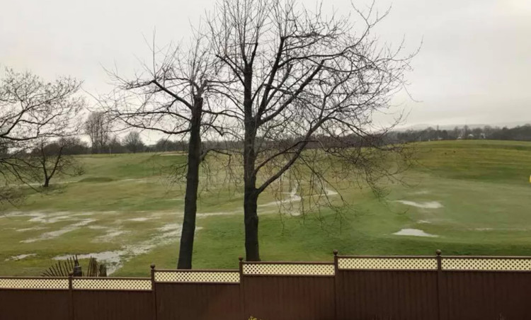 As spring nears, gardeners are advised to use February to prepare, from pruning to fence checks.