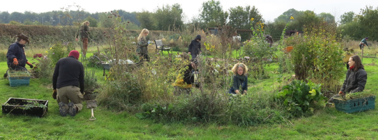 Explore the beautiful natural space at Growers Row at Root and Branch Out's open day (Photo: Root and Branch Out)