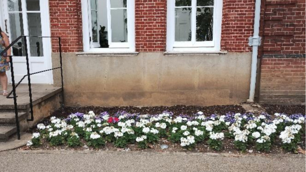 The ramp would be installed to the rear of York House to improve access to the Winter Gardens room (credit: Planning application).