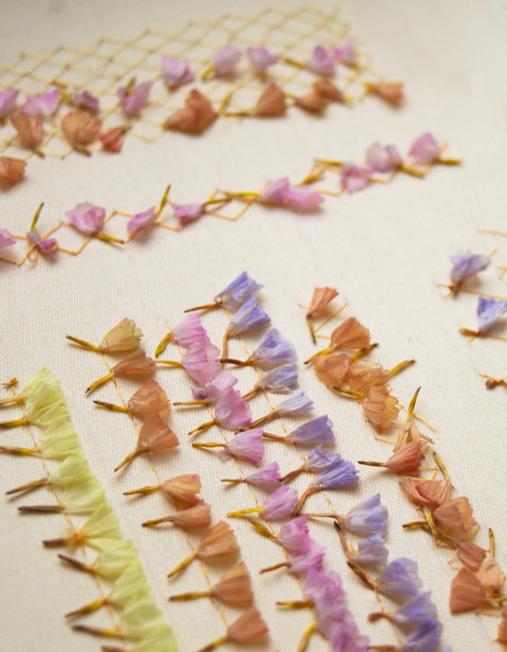 Stitching with Nature: A Botanical Embroidery Workshop 