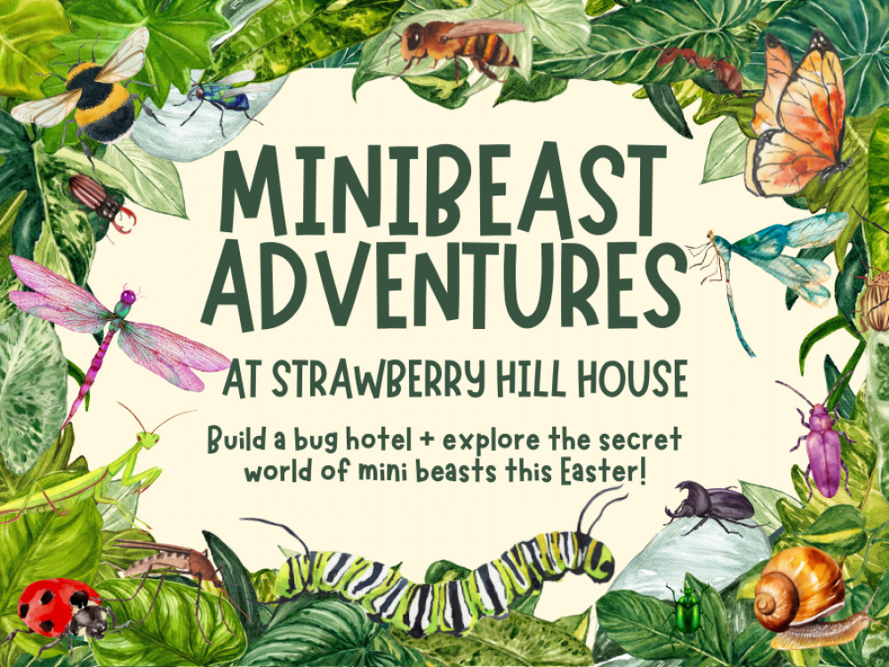 MiniBeast Adventures at Strawberry Hill House