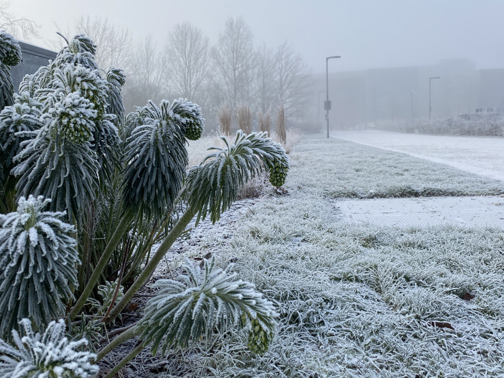 A weather warning has been issued for Warwick (image by Nub News)