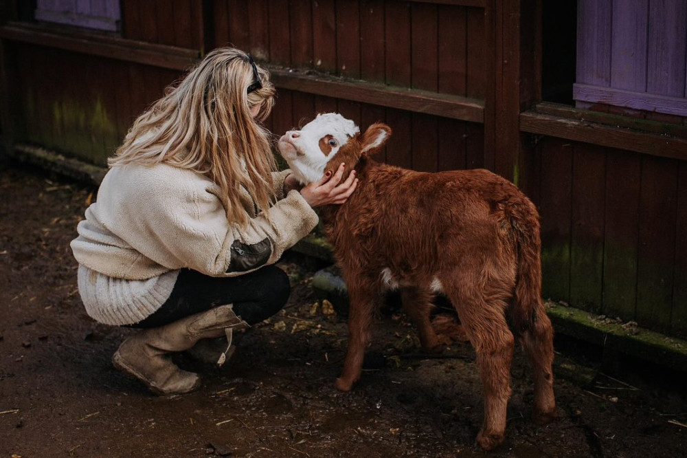 Join the hardworking team at Rutland Farm Park as a farm hand (Photo: Rutland Farm Park)