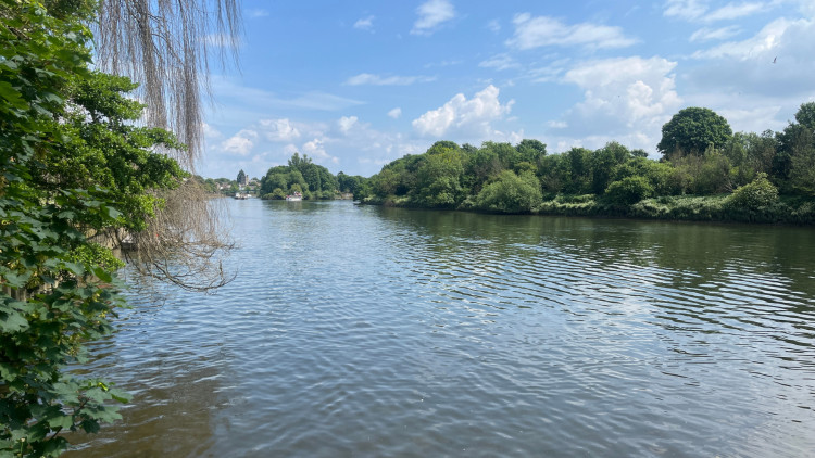 Richmond Council has welcomed proposals to designate riverside at Ham and Kingston as London’s first official River Thames bathing site (credit: Nub News).