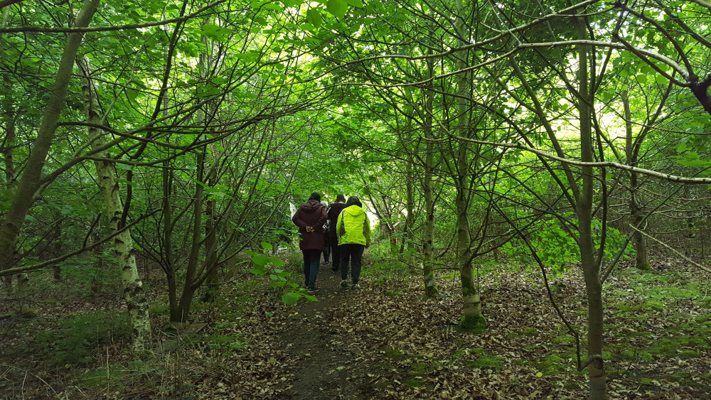 ARC's Woodland Wellbeing Spring Course offers a nature-based programme (image supplied)