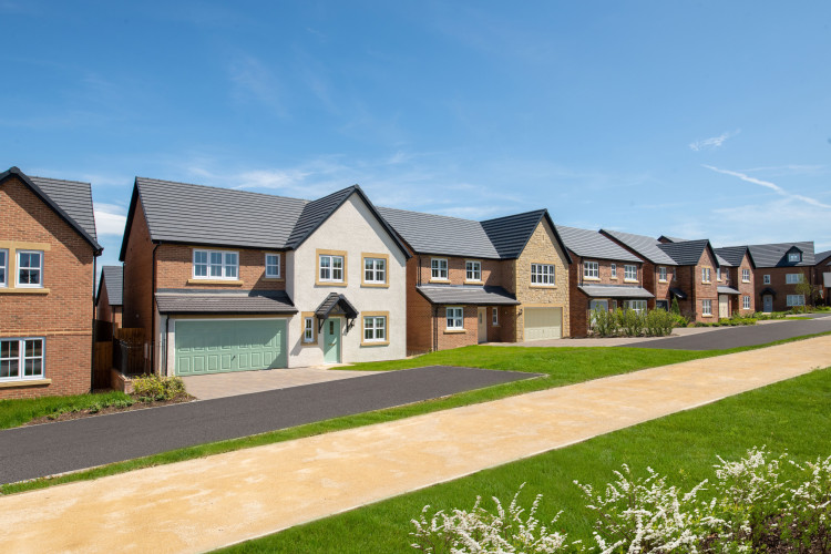 A CGI image of proposed new homes on land owned by Stockport Grammar School (Image - Story Homes)