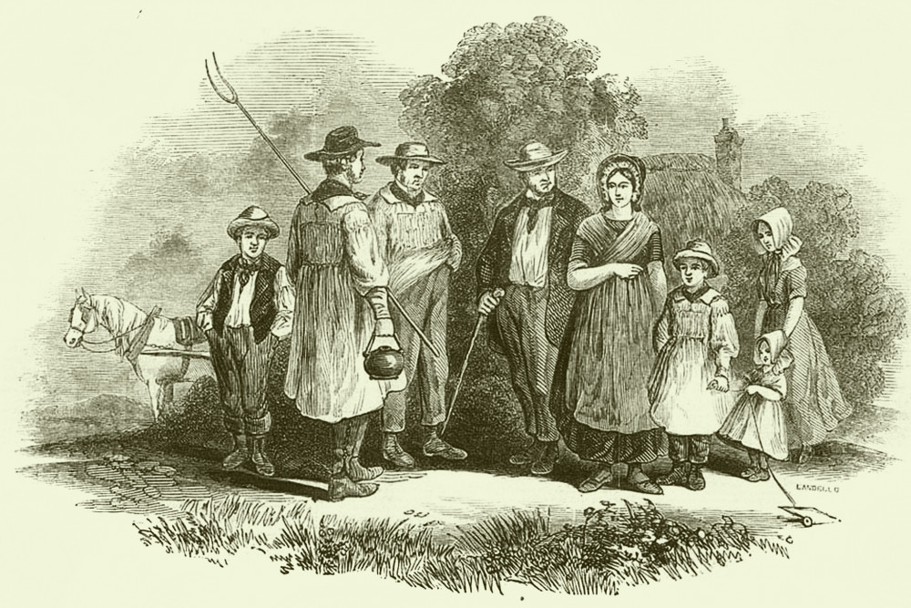 Thomas Hardy, Clothing and the Natural World | Professor Emerita Rachel Worth